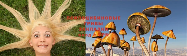 СК Аркадак