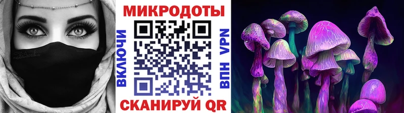 Галлюциногенные грибы ЛСД  Зубцов 